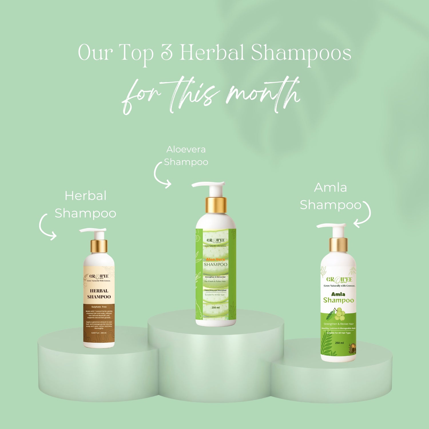 Botanical Hair Care